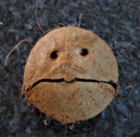 coconut face