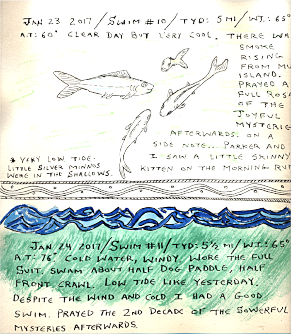 a page from my swim journal